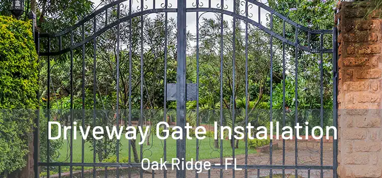 Driveway Gate Installation Oak Ridge - FL
