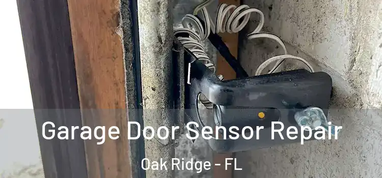 Garage Door Sensor Repair Oak Ridge - FL