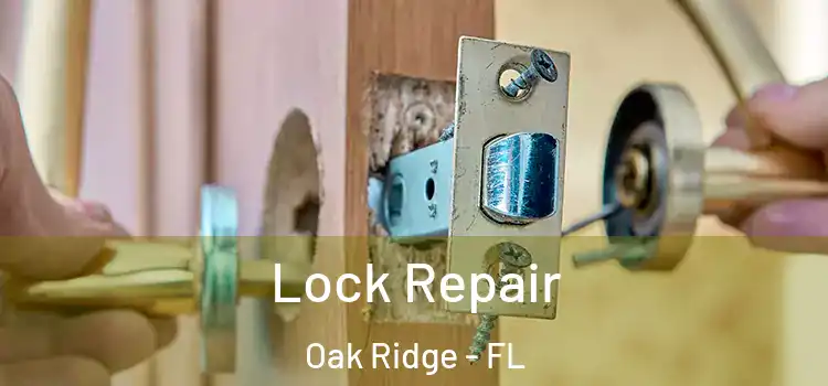 Lock Repair Oak Ridge - FL