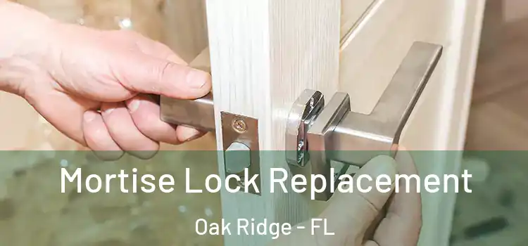  Mortise Lock Replacement Oak Ridge - FL