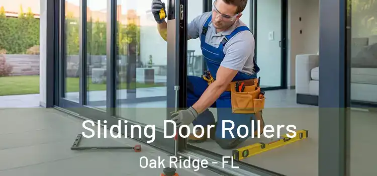  Sliding Door Rollers Oak Ridge - FL